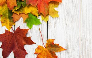 Fall News: Online Programs and Re-Opening Office!